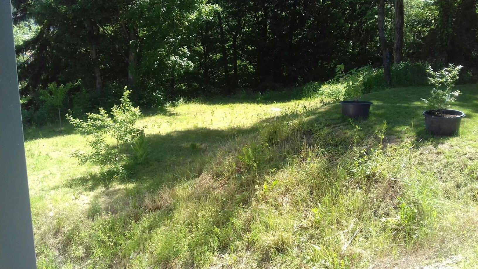 Ferienwohnung Ameis Heiligenstadt in Oberfranken Bagian luar foto